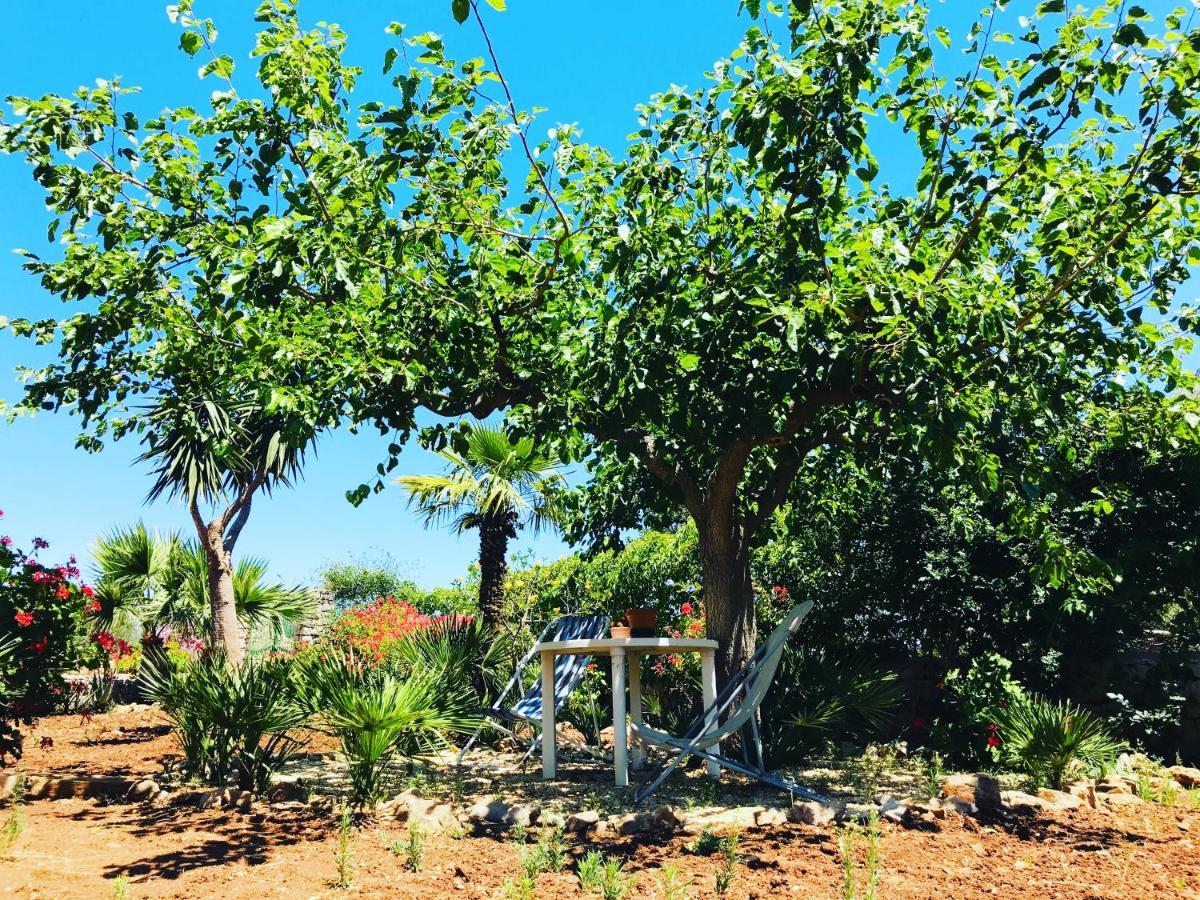 Villetta Castiglione سان فيتو لو كابو المظهر الخارجي الصورة